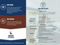 Boxer Exteriors (1) - Roofers & Roofing Contractors