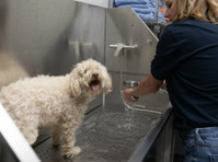 The Happy Dog Hotel (2) - Servicios para mascotas