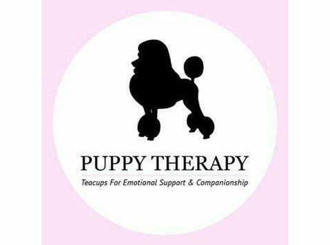 Puppy Therapy - Dzīvnieku pakalpojumi