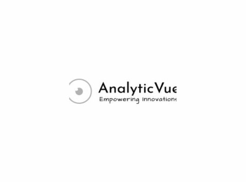 Analyticvue - Бизнис и вмрежување