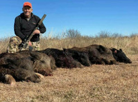 Prize Hog Hunting Dallas (1) - Formation