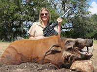 Prize Hog Hunting Dallas (2) - Apmācība