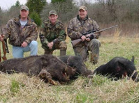 Prize Hog Hunting Dallas (3) - Valmennus ja koulutus