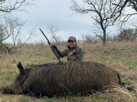Prize Hog Hunting Dallas (4) - Treinamento & Formação