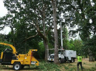 Legacy Tree Service (1) - Home & Garden Services