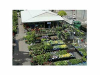 Stone Brook Garden Center & Landscape Supply (2) - Shopping