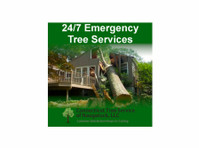Connecticut Tree Service of Naugatuck LLC (1) - Home & Garden Services