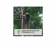 Connecticut Tree Service of Naugatuck LLC (2) - Serviços de Casa e Jardim