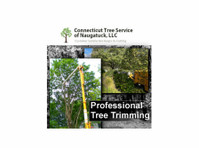 Connecticut Tree Service of Naugatuck LLC (3) - Serviços de Casa e Jardim