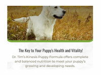 Dr. Tim's Pet Food Company (1) - Servicii Animale de Companie