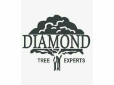 Diamond Tree Experts - Домашни и градинарски услуги