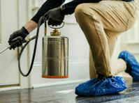 Absolute Best Pest Control (1) - Serviços de Casa e Jardim