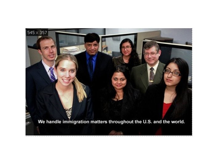 Gehi & associates - Имиграционните служби