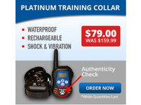 Doged shock collars (5) - Pet services