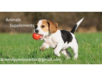 GreenLipped Mussel Supplements (3) - Alternativní léčba
