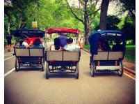 Peter Pen Tours of Central Park (1) - Agências de Viagens