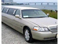 Albany Luxury Limo (6) - Transport de voitures