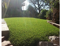 Turf Solutions (1) - باغبانی اور لینڈ سکیپنگ