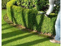 Cda Lawn Care (4) - Gardeners & Landscaping