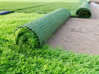 M3 Artificial Grass & Turf Installation Orlando (3) - Садовники и Дизайнеры Ландшафта