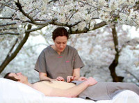 Cherry Blossom Healing Arts (3) - Acupuntura