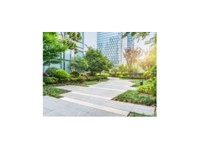 mendoza Landscaping Columbia Sc (1) - باغبانی اور لینڈ سکیپنگ