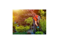 mendoza Landscaping Columbia Sc (3) - باغبانی اور لینڈ سکیپنگ