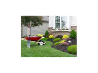 mendoza Landscaping Columbia Sc (6) - باغبانی اور لینڈ سکیپنگ