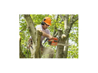 m&m Tree Cutting (2) - Puutarhurit ja maisemointi