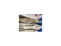 seafood source usa (5) - Import/Export