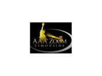 Aaa Zoom Limousine (1) - Такси компании