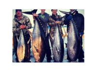 Louisiana Sportsman Outfitters (1) - Fishing & Angling