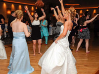 Party All Nite! DJ, Chicago Party & Wedding DJ (1) - Live Music