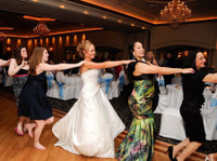 Party All Nite! DJ, Chicago Party & Wedding DJ (5) - Live-Musik