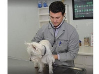 Patton Chapel Animal Clinic (2) - Pet services