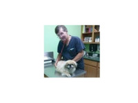 Jones Veterinary Hospital (2) - Serviços de mascotas