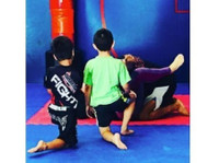 Seven Star Kung Fu Academy (2) - Tělocvičny, osobní trenéři a fitness