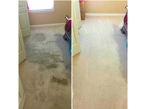 Tropical Carpet Care - Cleaners & Cleaning services