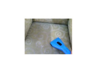 Tropical Carpet Care (2) - Уборка