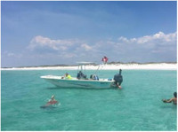 Panama City Dolphin Seafari (1) - Туристички агенции