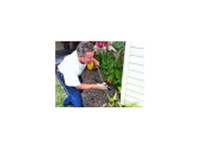 Mojoe Termite (2) - Home & Garden Services