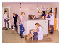 Hebron Veterinary Hospital (1) - Servicios para mascotas