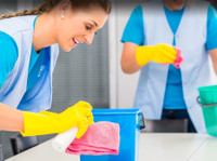 Nancys Cleaning Services Of Santa Barbara (1) - Хигиеничари и слу