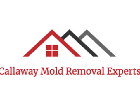 Callaway Mold Removal Experts - Construction Services