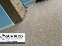 Sunbird Carpet Cleaning Hialeah (4) - Čistič a úklidová služba