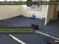 Ucm Carpet Cleaning Boca Raton (7) - Limpeza e serviços de limpeza