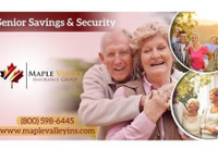 Maple Valley Insurance Group (1) - Companhias de seguros