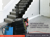 Tulip Carpet Cleaning Arnold (1) - Pulizia e servizi di pulizia