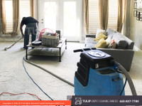 Tulip Carpet Cleaning Arnold (4) - Uzkopšanas serviss