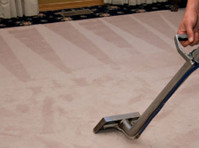 Magic Touch Carpet Cleaning of Tampa (3) - Cleaners & Cleaning services